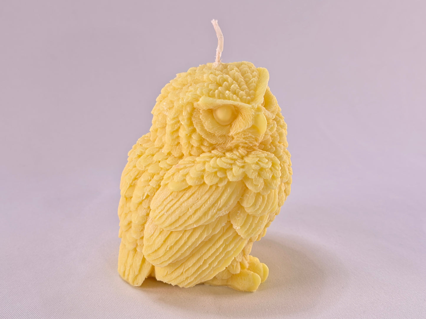 Handgemaakte Sojakaars Uil – Natuurlijke Decoratieve Kaars in Cadeaudoos