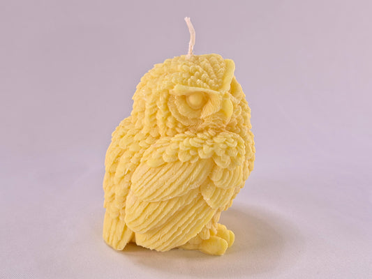Handgemaakte Sojakaars Uil – Natuurlijke Decoratieve Kaars in Cadeaudoos